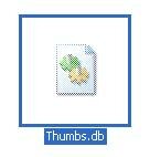 Что за файл Thumbs.db