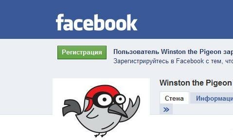 Winston the Pigeon vs. Internet, или Высокоскоростной широкополосный… голубь Уинстон
